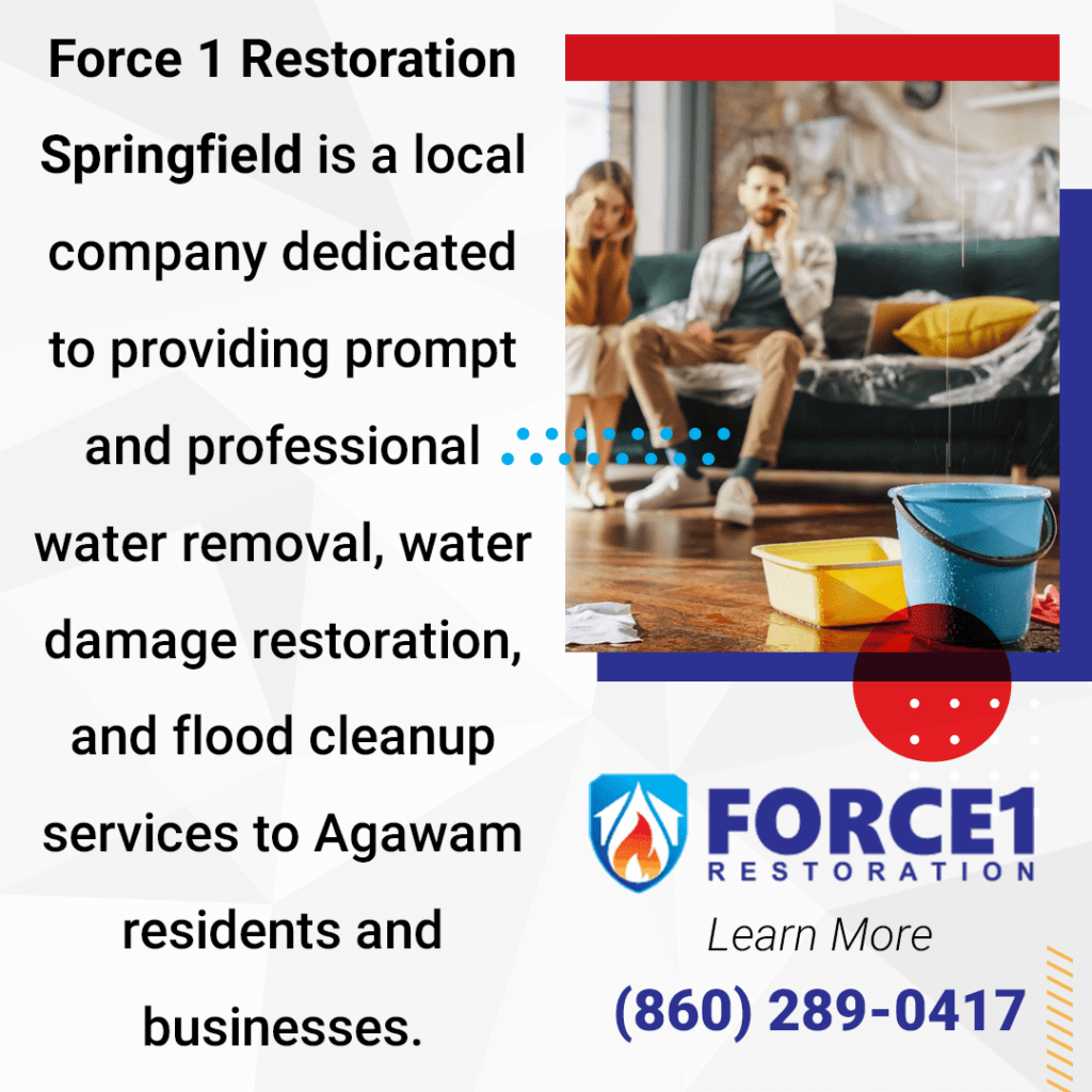 local professional water removal company