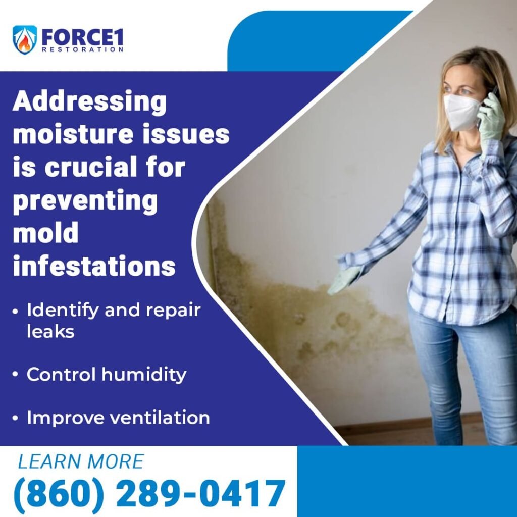 addressing moisture issues in preventing mold infestations