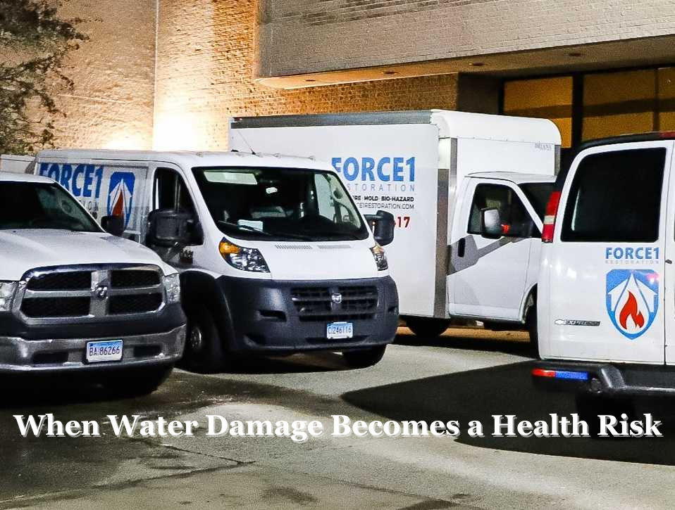 When Water Damage Becomes a Health Risk - Force 1 Restoration