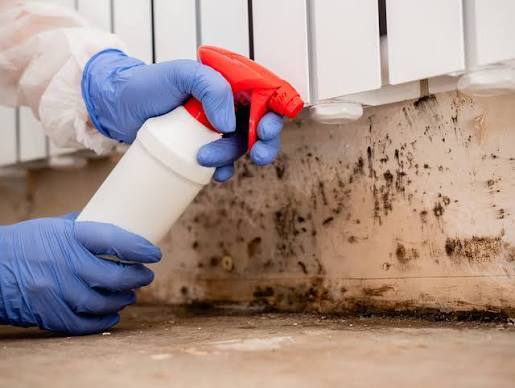 Force 1 Restoration Services | Why a Mold Remediation Service Is Essential After Hidden Water Damage Mold Remediation Service