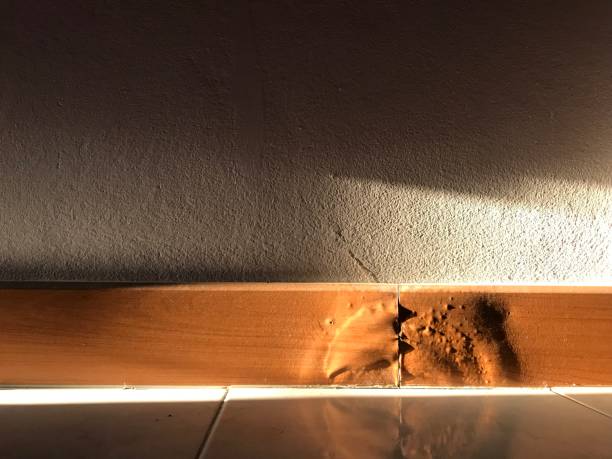 Water Damaged Baseboards Water Damaged Baseboards